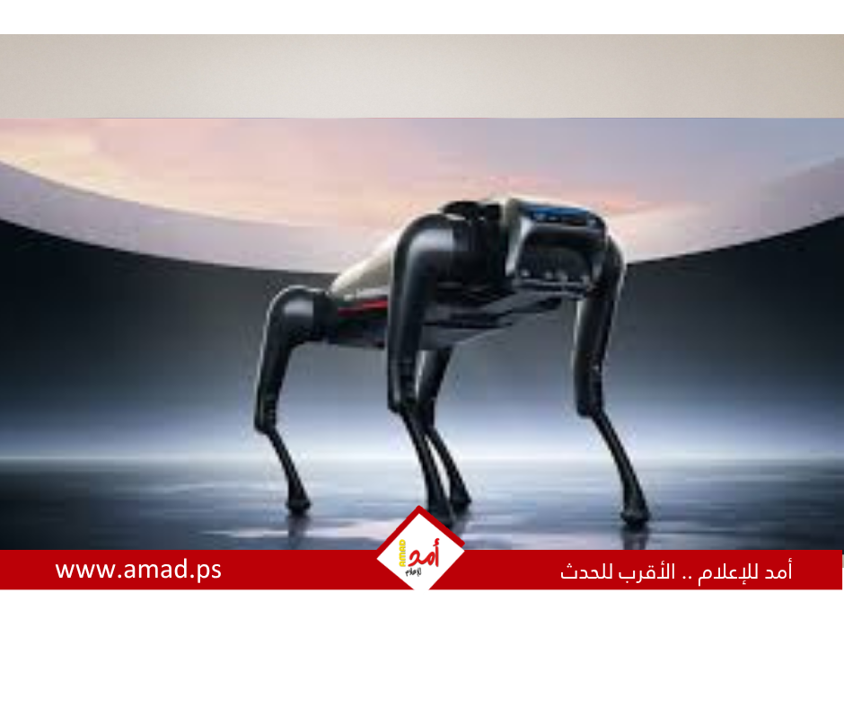 كلب آلى يتحدث ويرشد المكفوفين.. ثورة جديدة بالذكاء الاصطناعى