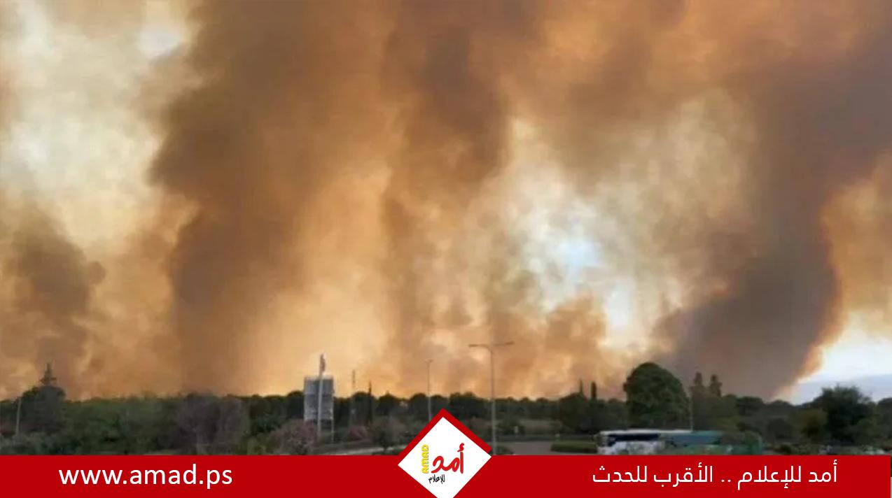إعلام عبري: احتراق 10 آلاف دونم بالجولان بعد قصف حزب الله