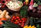 أسعار الخضروات والدجاج في غزة يوم الاثنين