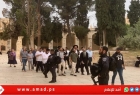 عشرات المستوطنين الإرهابيين يقتحمون "المسجد الأقصى"