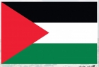 هاشتاج فلسطيني يحتل مواقع التواصل رداً على مسيرة أعلام الفاشيين اليهود
