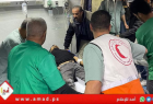 الهلال الأحمر يطالب بمستشفيات ميدانية وإيفاد وفود طبية إلى القطاع