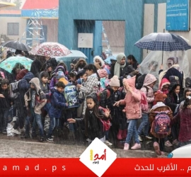 غزة: التعليم تٌصدر بيانًا بشأن دوام المدارس في المنخفض الجوي