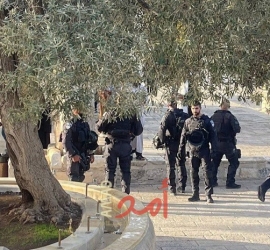 تحت حماية شرطة الاحتلال.. فرق المستوطنين الإرهابية تقتحم"المسجد الأقصى"- فيديو وصور