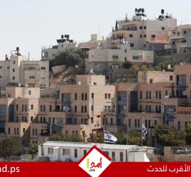 تقرير: عدد المستوطنين في الضفة الغربية يتجاوز 500 ألف