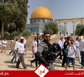 الأردن يوجه مذكرة احتجاج لإسرائيل بشأن الانتهاكات في المسجد الأقصى المبارك
