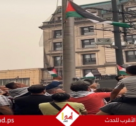 الاحتفال برفع العلم الفلسطيني على مبنى بلدية باترسون بالولايات المتحدة للمرة الـ 12 على التوالي