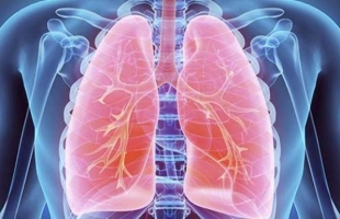 خبراء: تأثير مواد تنظيف المنزل على صحة الجهاز التنفسى