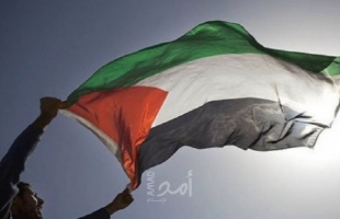 الخارجية الفلسطينية: سيرفرف العلم الفلسطيني على بلديتي بأمريكا