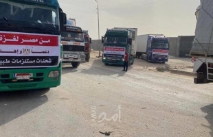 الهلال الأحمر المصري يرسل قافلة مساعدات طبية إلى فلسطين