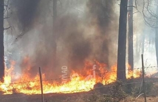 إعلام عبري:  أكثر من (70) حريقاً أشعلها فلسطينيون في مستوطنات الضفة