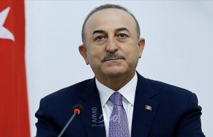 وزير الخارجية التركي: إجراء اتصال هاتفي بين أردوغان والأسد غير وارد حاليًا
