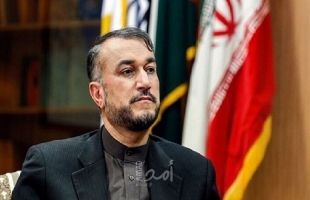 وزير الخارجية الإيراني: توصلنا في مفاوضات فيينا إلى وثيقة جديدة ومشتركة
