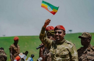 المجلس الأوروبي يدعو إثيوبيا للانخراط في محادثات وقف إطلاق النار