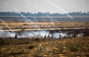 قوات الاحتلال تطلق "قنابل الغاز" تجاه المزارعين شمال قطاع غزة