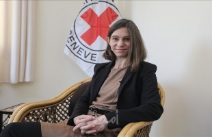 مديرة "الصليب الأحمر" بغزة: المدافع سكتت والمعاناة ازدادت