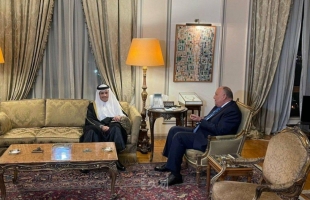 وزير الخارجية المصري يستقبل نظيره القطري