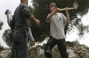 بيت لحم: إصابات خلال قمع  قوات الاحتلال وقفة منددة بوجود كسارة لمستوطن على أراضي كيسان