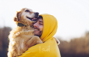 كيف أصبحت الكلاب أفضل صديق للإنسان؟