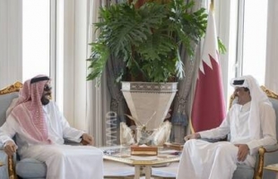 أمير قطر يستقبل مستشار الأمن الوطني الإماراتي