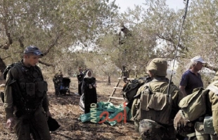 جيش الاحتلال يمنع المزارعين من "قطف الزيتون" جنوب نابلس