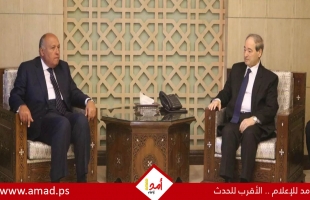 المقداد يلتقي وزير الخارجية المصري ولجنة متابعة الملف السوري في القاهرة