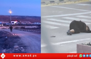 جيش الاحتلال يحقق في إطلاق النار على إمرأة مستوطنة جنوب الخليل
