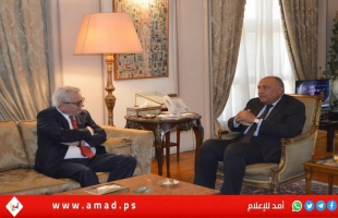 وزير الخارجية المصري يبحث العنف الإسرائيلي ضد الفلسطينيين مع وينسلاند