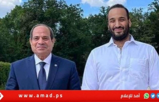 لقاء ودي بين "بن سلمان" والرئيس المصري "السيسي"