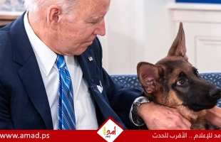 استبعاد كلب الرئيس الأميركي جو بايدن "كوماندر" من البيت الأبيض