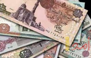 وزارة المالية المصرية تصدر بيانا حول الجنيه المصري