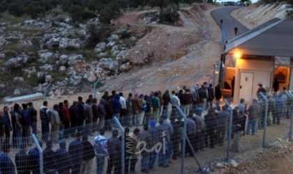 إعلام عبري:  إسرائيل تصادق على دخول 80 ألف عامل فلسطيني للعمل مجدداً