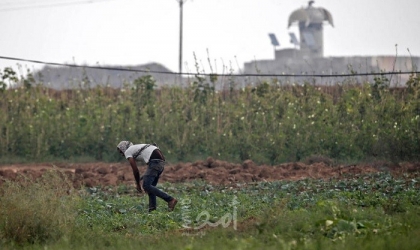 القطاع الزراعي يٌطالب بتعويض المزارعين المتضررين بسبب المنخفض الجوي