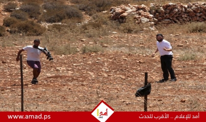 مستوطنون إرهابيون يعتدون على المواطنين ويصيبون فلسطيني وزوجته في أريحا