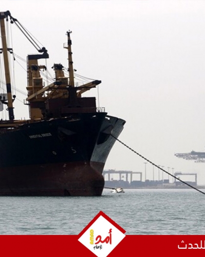 شركتان دانماركية وأخرى ألمانية تعلقان مرور سفنهما عبر مضيق "باب المندب"