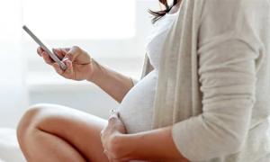 دراسة تكشف أن شهية الحوامل سببها تغيرات دماغية أثناء الحمل