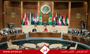 شاهين تدعو لموقف عربي موحد لتثبيت وقف إطلاق النار بالكامل وحماية 