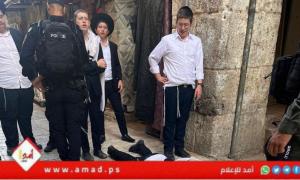 محافظة القدس: اعتداءات المستوطنين على المواطنين في البلدة القديمة تصعيد خطير وممنهج- فيديو