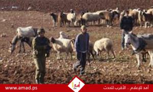 جيش الاحتلال يحذر نتنياهو من خروج الضفة عن السيطرة بسبب عنف المستوطنين