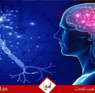ماذا يحدث فى الدماغ عند بدء لاإصابة بمرض ألزهايمر؟