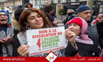 اتهامات لنائب فرنسي من أصل فلسطيني بإسقاط علم إسرائيل داخل البرلمان الأوروبي