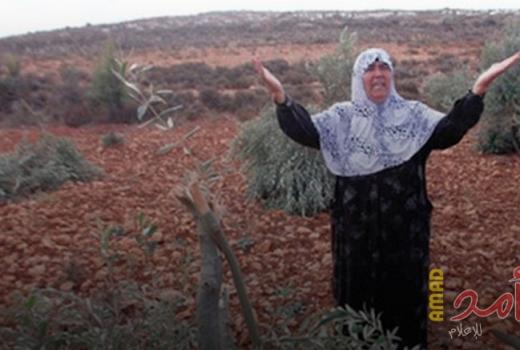 فرق الإرهاب الاستيطانية تهاجم مركبات وأملاك فلسطينية و