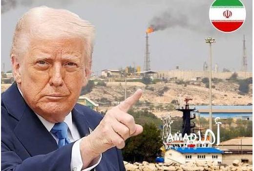 ن.تايمز: ترامب تراجع عن ضرب الحوثيين بعد اكتمال الاستعدادات في اللحظة الأخيرة 