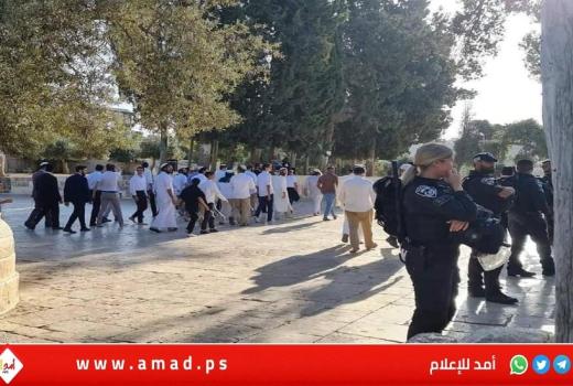محافظة القدس تحذر من تصاعد المطالبة بفتح الأقصى يوم السبت أمام المستوطنين