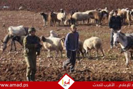 جيش الاحتلال يحذر نتنياهو من خروج الضفة عن السيطرة بسبب عنف المستوطنين